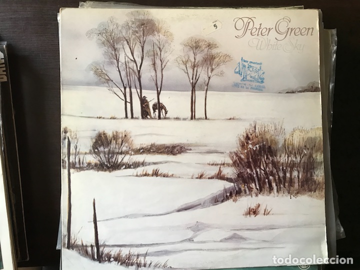 Discos de vinilo: White sky. Peter Green - Foto 1