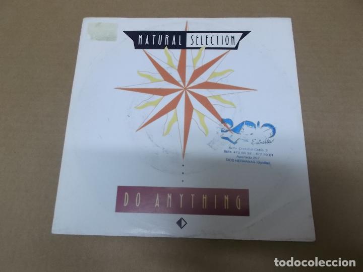 Discos de vinilo: NATURAL SELECTION (SN) DO ANYTHING A&Ntilde;O 1991 - Foto 1