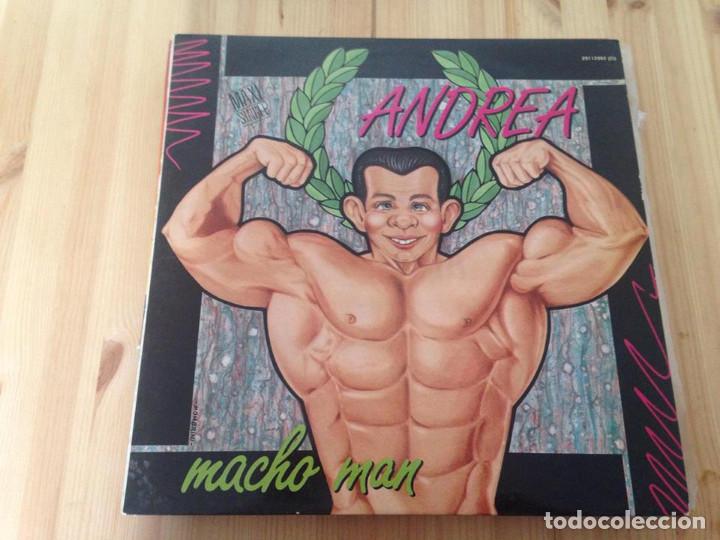 Discos de vinilo: Andrea -- Macho Man -MAXI ITALO DISCO - Foto 1
