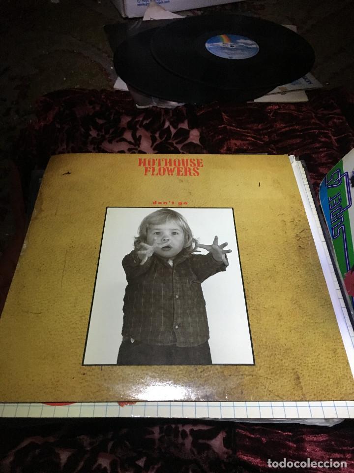 Discos de vinilo: HOTHOUSE FLOWERS,DON&acute;T GO MAXI - Foto 1