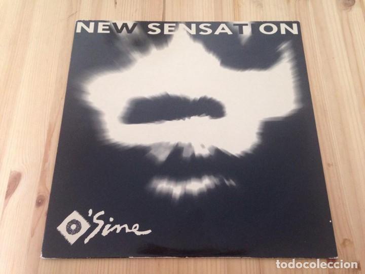 Discos de vinilo: OSine -- New Sensation -- - Foto 1