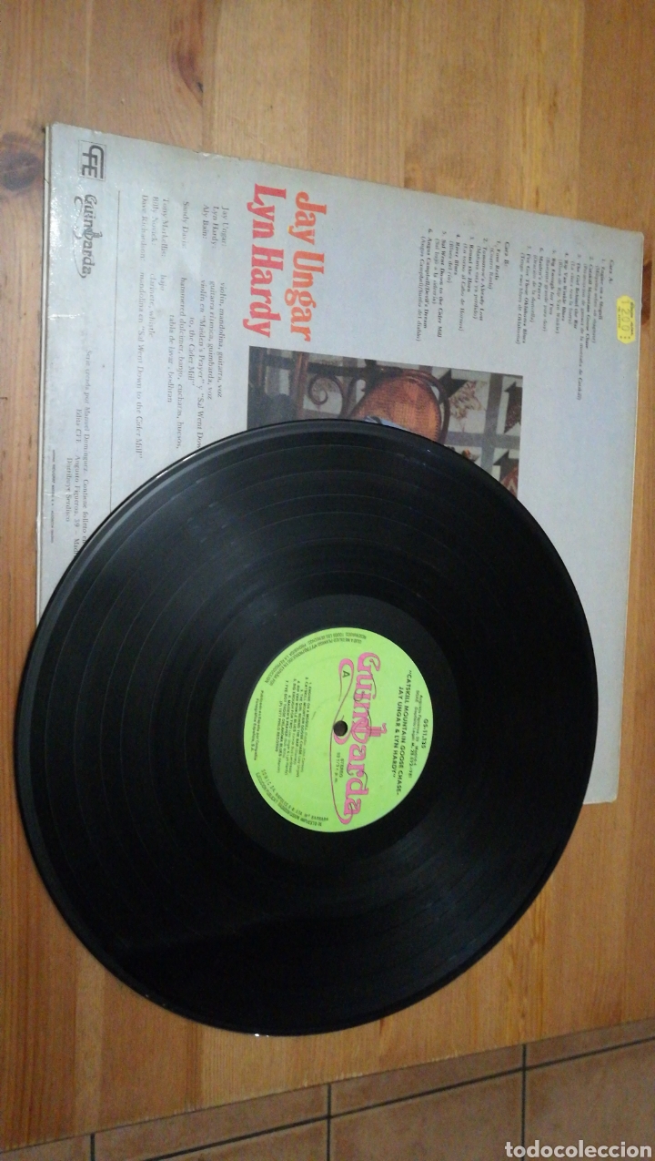 Discos de vinilo: Gatskill Mountain - Goose Chase - Foto 3