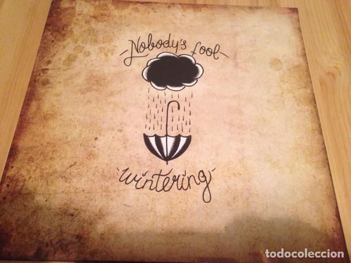 Discos de vinilo: Nobodys Fool --Wintering --PUNK - Foto 1