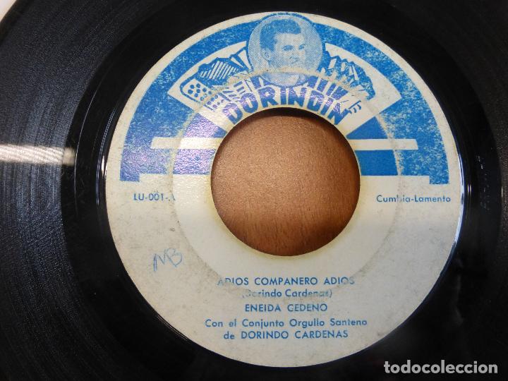 Discos de vinilo: Eneida Cedeño Y Dorindo Cárdenas Con Su Conjunto Orgullo Santeño - ADIOS COMPAÑERO ADIOS - PANAMA - Foto 1 - 120836099