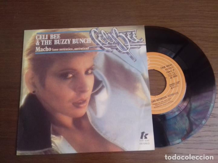 Discos de vinilo: SINGLE - CELI BEE & THE BUZZY BUNCH - MACHO - A&Ntilde;O 1978 - EDITION SPANISH - Foto 1
