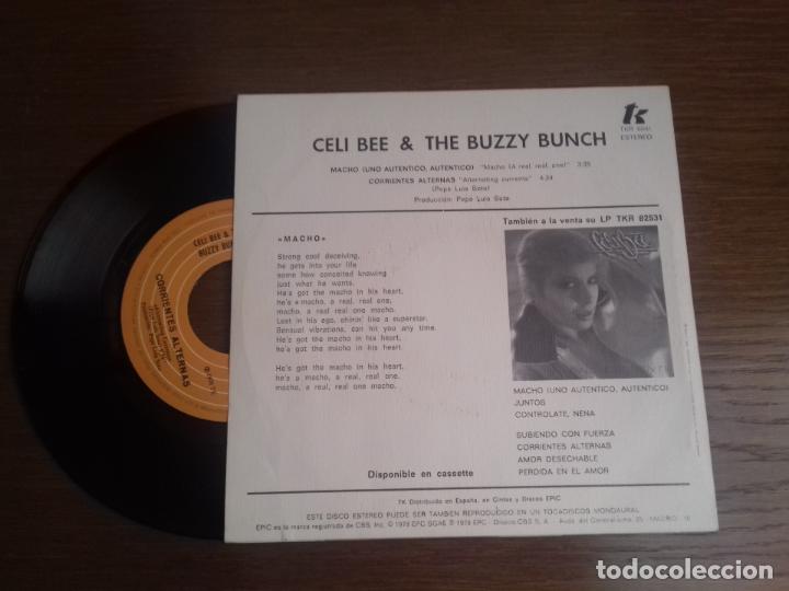 Discos de vinilo: SINGLE - CELI BEE & THE BUZZY BUNCH - MACHO - A&Ntilde;O 1978 - EDITION SPANISH - Foto 2