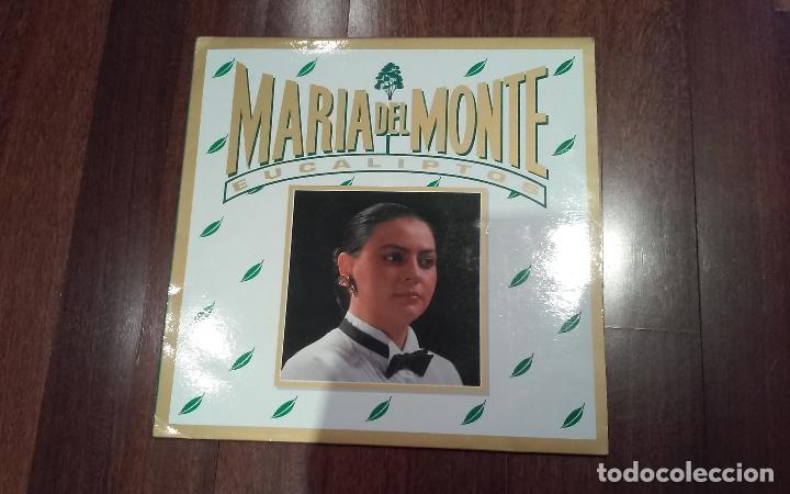 Discos de vinilo: Maria del monte-eucaliptos.maxi - Foto 1