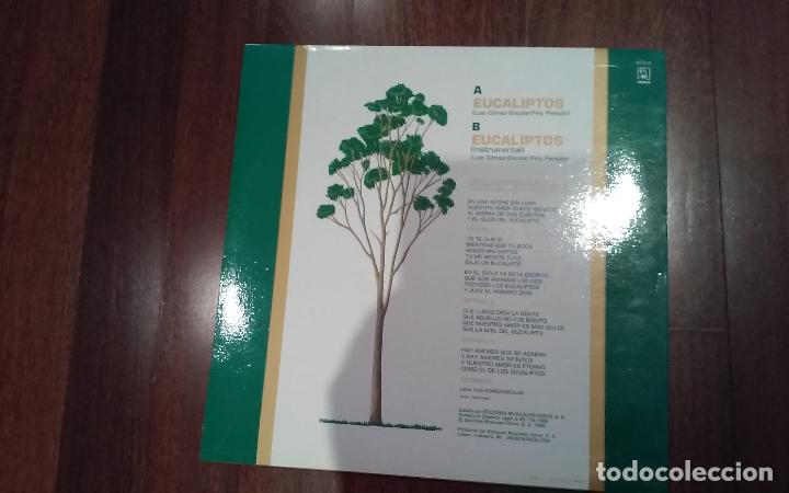 Discos de vinilo: Maria del monte-eucaliptos.maxi - Foto 2
