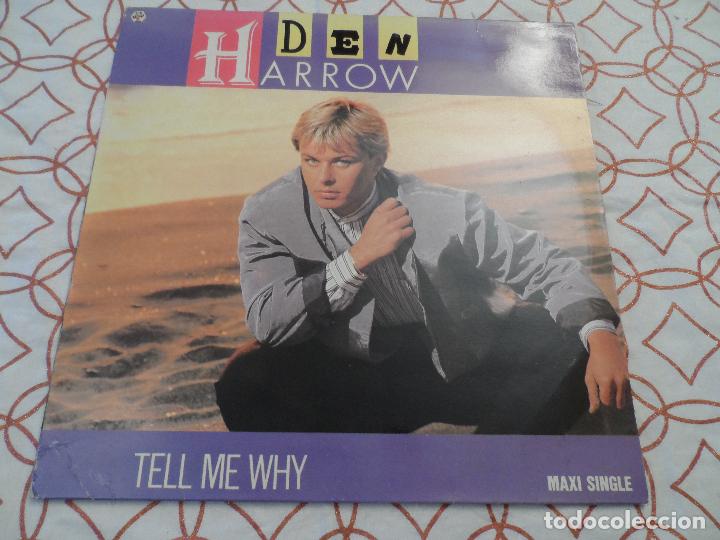 Discos de vinilo: DEN HARROW - TELL ME WHY - Foto 1