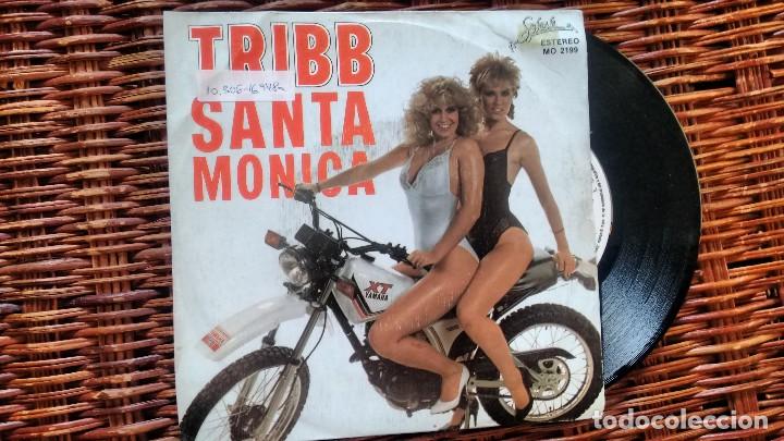 Discos de vinilo: SINGLE (VINILO) DE TRIBB A&Ntilde;OS 80 - Foto 1