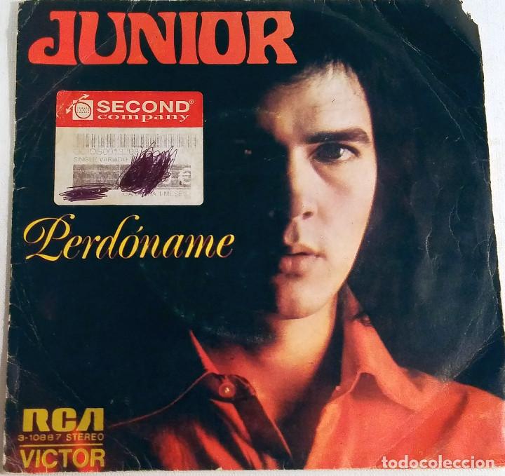Discos de vinilo: JUNIOR - PERDONAME / THE SNAKE - SINGLE RCA 1973 - Foto 1