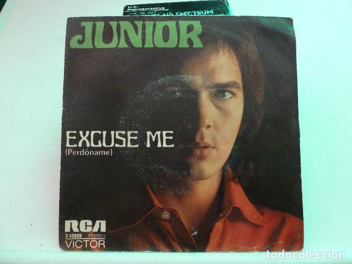 Discos de vinilo: JUNIOR - EXCUSE ME - PERDONAME - THE SNAKE - Foto 1