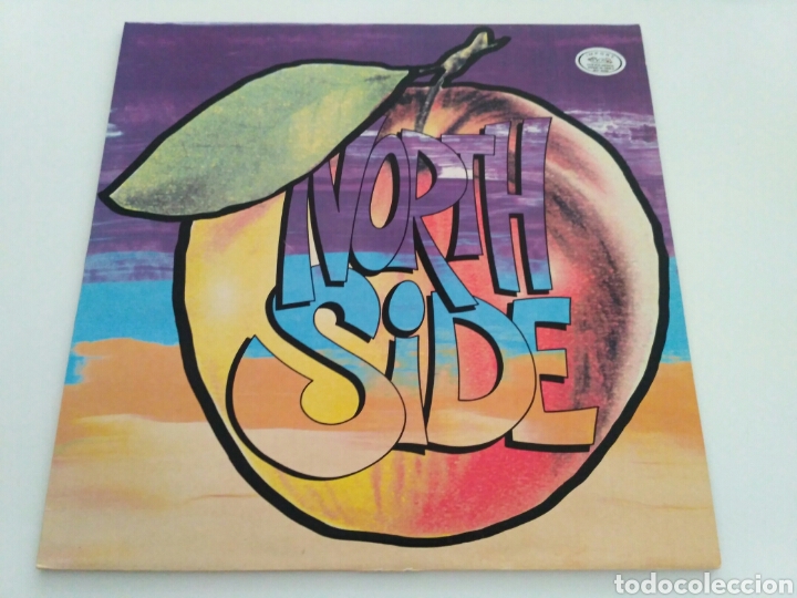 Discos de vinilo: Northside - My Rising Star - Foto 1