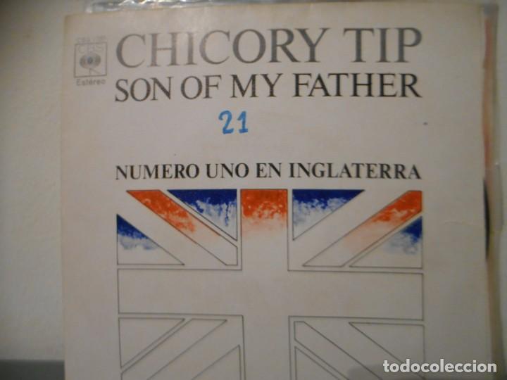 Discos de vinilo: CHICORY TIP - SON OF MY FATHER - Foto 1