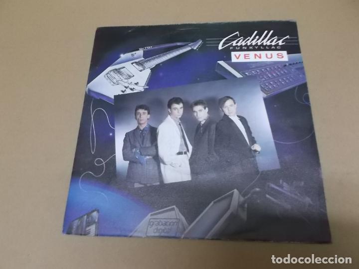 Discos de vinilo: CADILLAC (SN) VENUS A&Ntilde;O 1984 - Foto 1