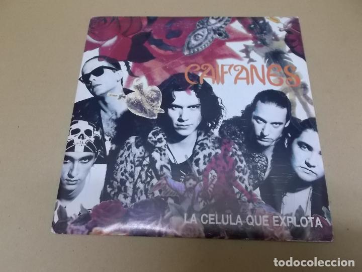 Discos de vinilo: CAIFANES (SN) LA CELULA QUE EXPLOTA A&Ntilde;O 1991 - Foto 1