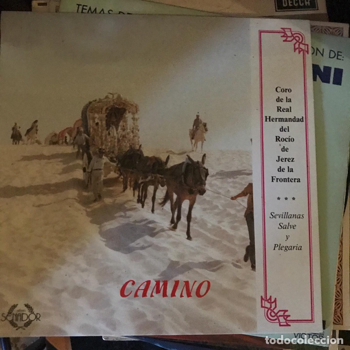 Discos de vinilo: Camino - Foto 1