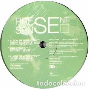 Discos de vinilo: Various - Present Sense (12)  Label:Archive (2) Cat#: DOCUMENT 18 - Foto 1
