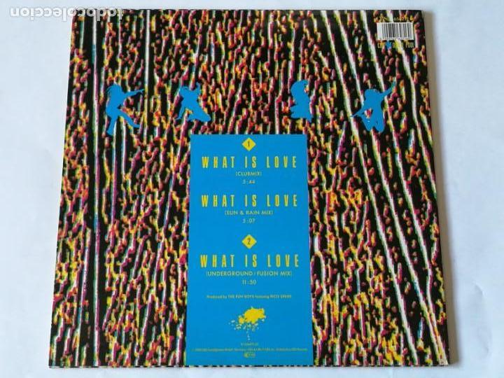 Discos de vinilo: Wig Wam Bam - What Is Love- 1990 - Foto 2