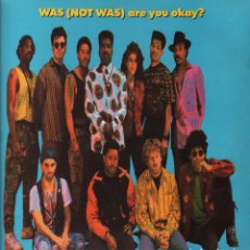 Dischi in vinile: WAS (NOT WAS) ARE YOU OKAY? - LP FONTANA DE 1990 RF-6516. Lote 138089710