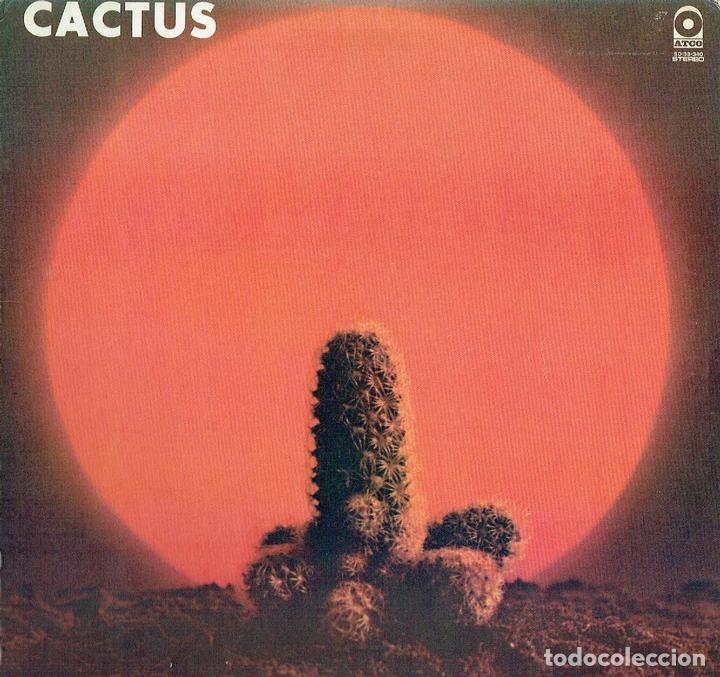 disco cactus music