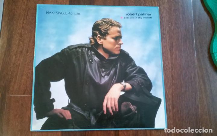 Discos de vinilo: Robert palmer-you are in my system.maxi - Foto 1