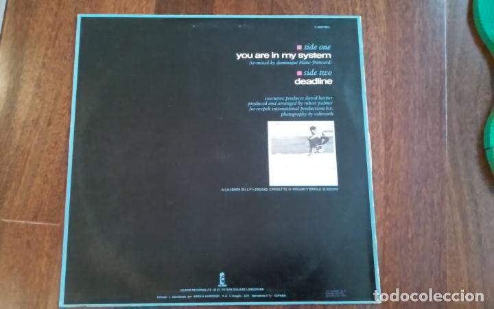 Discos de vinilo: Robert palmer-you are in my system.maxi - Foto 2