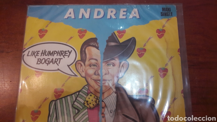 Discos de vinilo: Maxi Andrea casablanca 1986 Sanni - Foto 1
