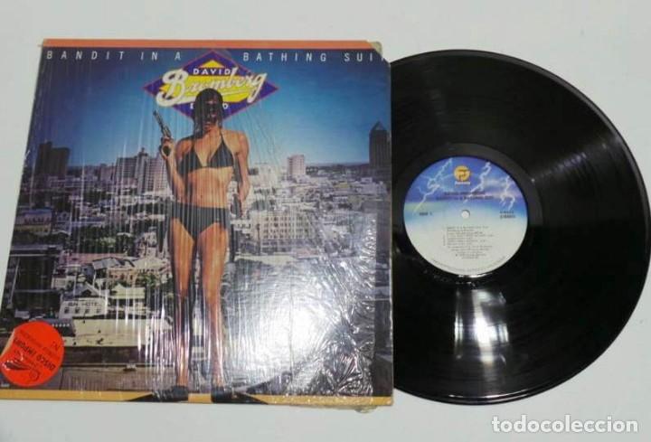 Discos de vinilo: LP de vinilo DAVID BROMBERG Bandit in a bathing suit - Foto 1