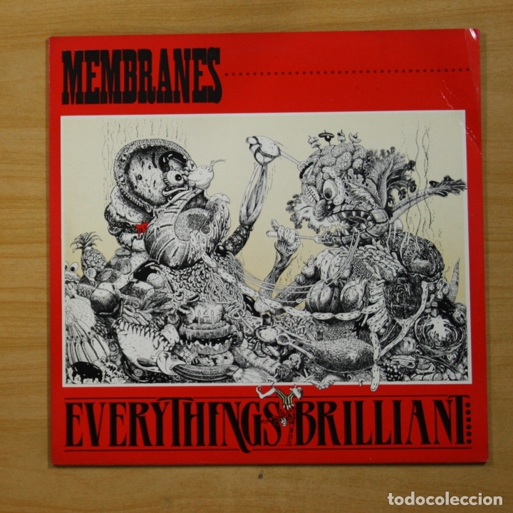 Discos de vinilo: MEMBRANES - EVERYTHING�S BRILLIANT - LP - Foto 1