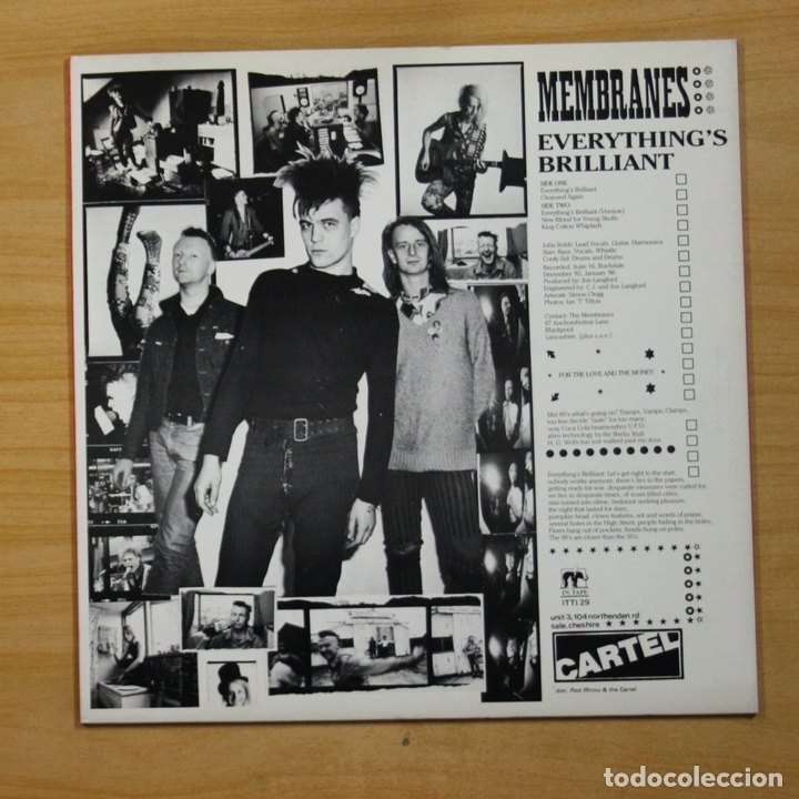 Discos de vinilo: MEMBRANES - EVERYTHING�S BRILLIANT - LP - Foto 2