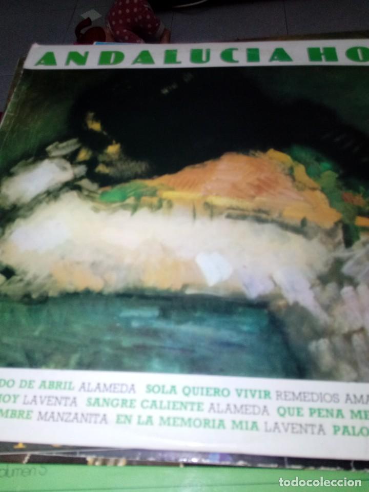 Discos de vinilo: ANDALUCIA HOY. C11V - Foto 1