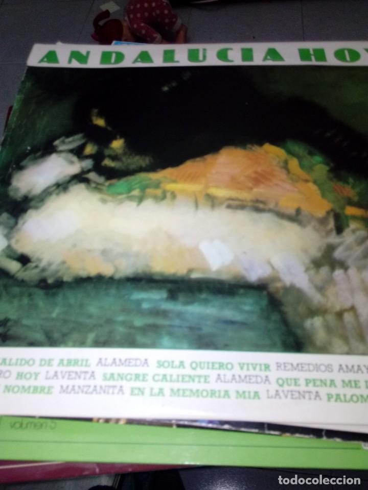 Discos de vinilo: ANDALUCIA HOY. C11V - Foto 1