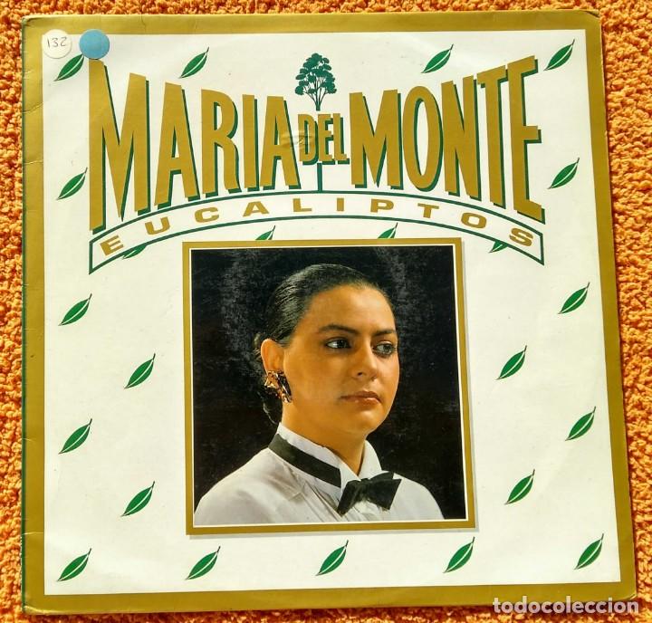 Discos de vinilo: Vinilo LP Mar&iacute;a del Monte - 1989 - Foto 1