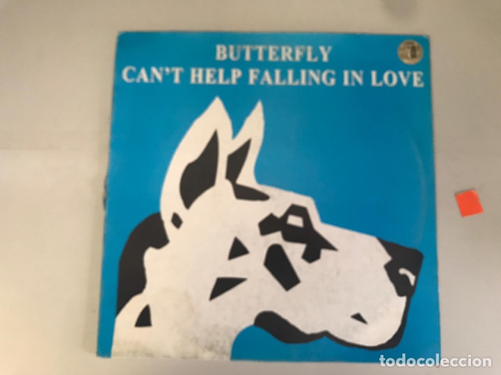Discos de vinilo: BUTTERFLY CANT HELP FALLING IN LOVE - Foto 1