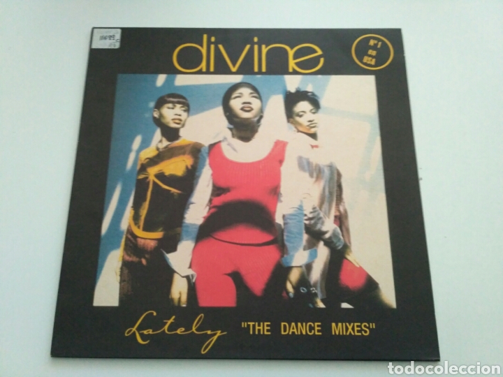 Discos de vinilo: Divine - Lately (The Dance Mixes) - Foto 1