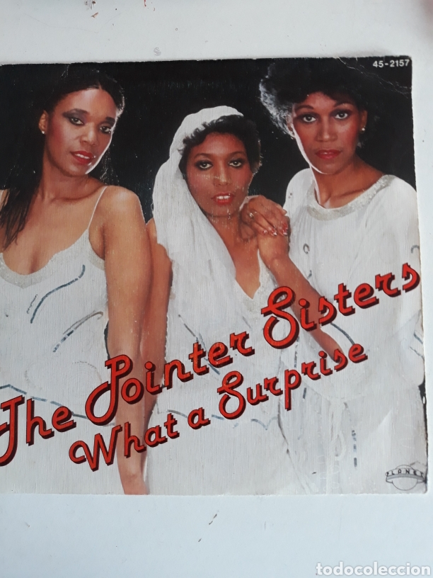 Discos de vinilo: THE POINTER SISTERS / WHAT A SURPRISE - Foto 1