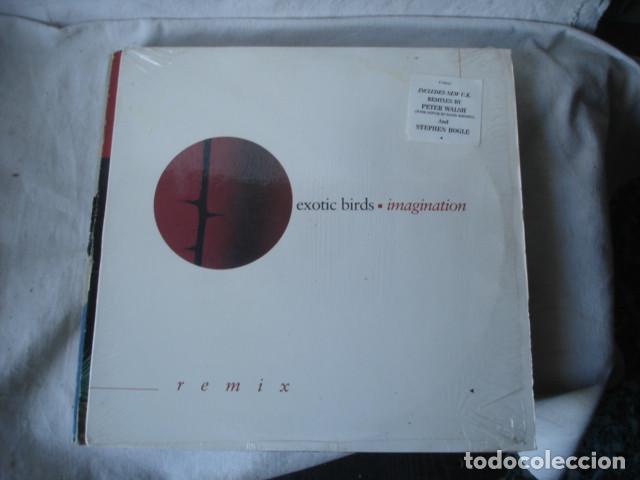 Discos de vinilo: Exotic Birds    Imagination - Foto 1