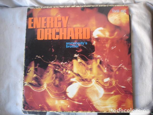 Discos de vinilo: Energy Orchard    Somebodys Brother - Foto 1