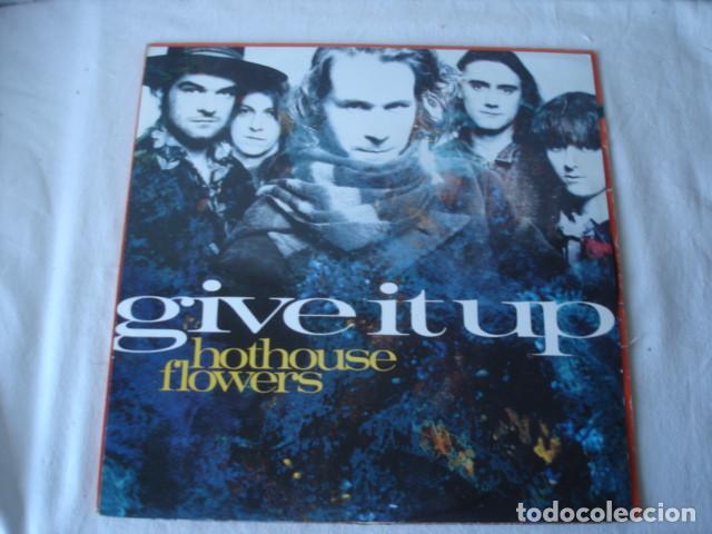 Discos de vinilo: Hothouse Flowers    Give It Up - Foto 1