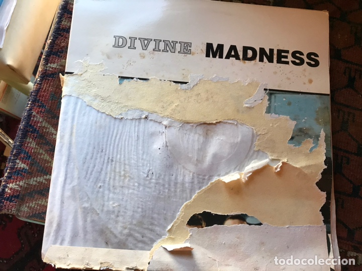 Discos de vinilo: Divine. Madness. Doble. Portada mal. Discos bien. - Foto 1