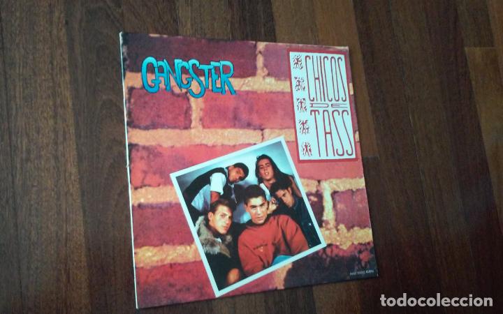 Discos de vinilo: Chicos de tass-gangster.maxi - Foto 1