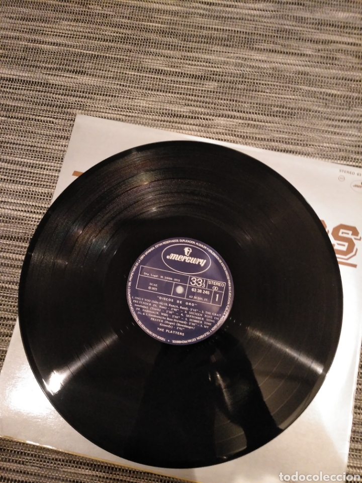 Discos de vinilo: The platters - Foto 4