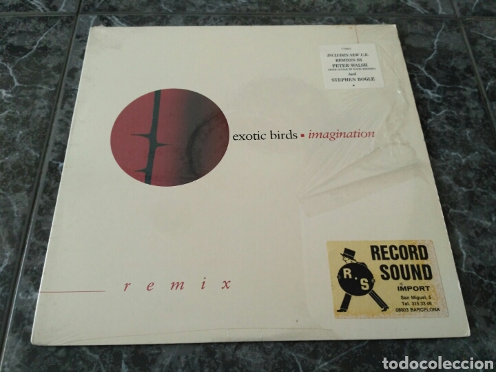 Discos de vinilo: Exotic Birds - Imagination - Foto 1