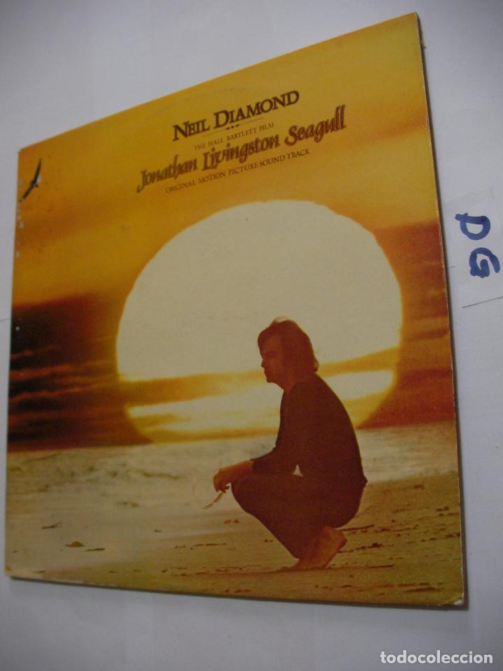 Discos de vinilo: ANTIGUO DISCO LP VINILO - NEIL DIAMOND - D1 - Foto 1