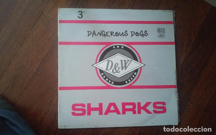 Discos de vinilo: Sharks-dangerous dogs.maxi - Foto 1