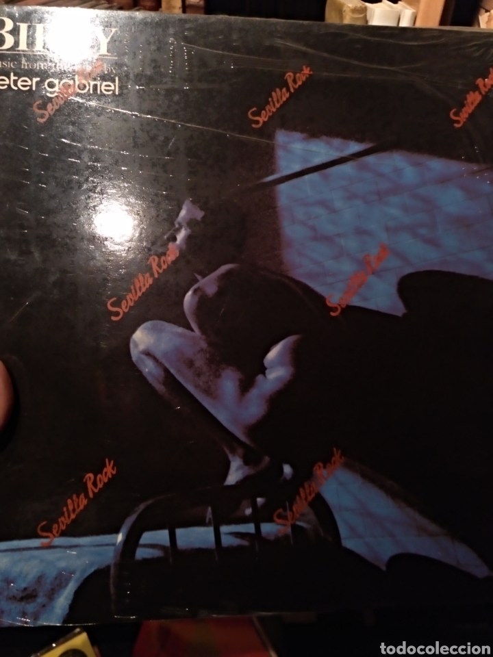 Discos de vinilo: Birdy - Foto 1