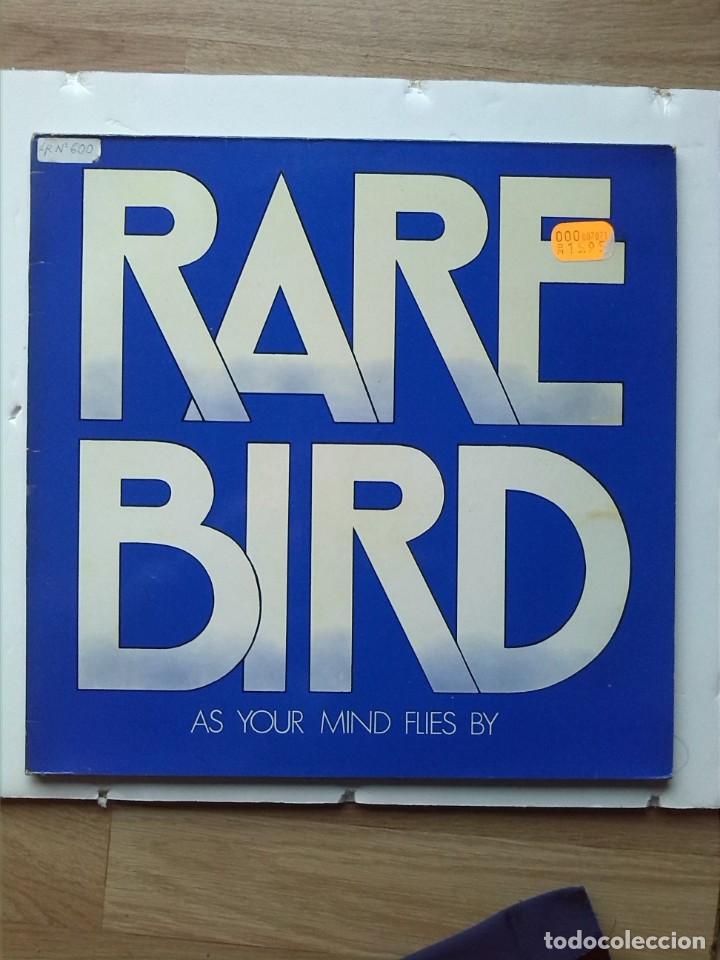 Discos de vinilo: RARE BIRD AS YOUR MIND FLIES BY - Foto 1