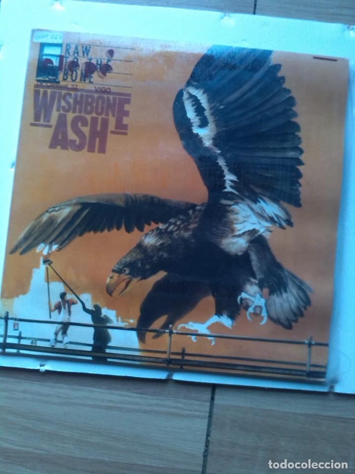 Discos de vinilo: WISHBONE ASH RAW TO THE BONE - Foto 1
