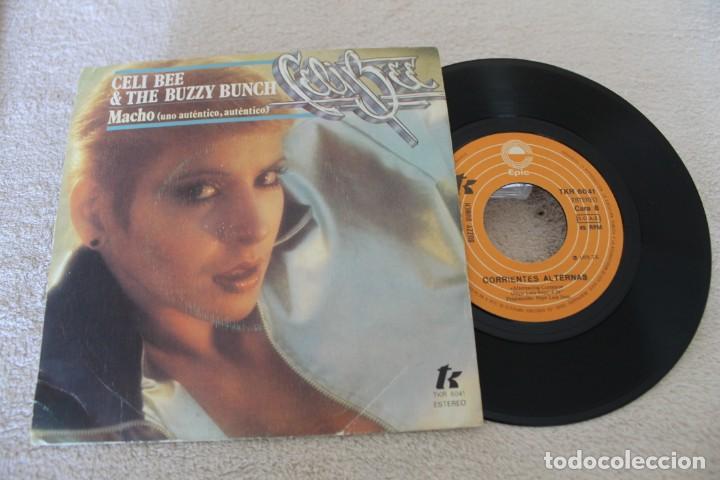 Discos de vinilo: CELI BEE & THE BUZZI BUNCH MACHO SINGLE - Foto 1